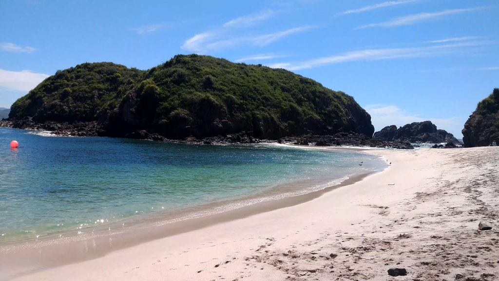 Barra de Navidad, Jal. Cannabis Rental | Barra de Navidad, Jal. 420